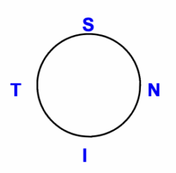 Sphärische Kontaktlinse mit einer Krümmung der peripheren Rückfläche der Linse