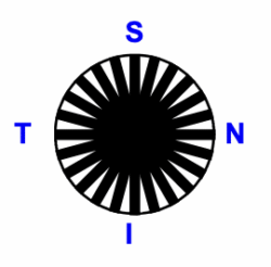 Viele individuelle Sektoren einer Kontaktlinse in Freiform-Fertigungstechnologie